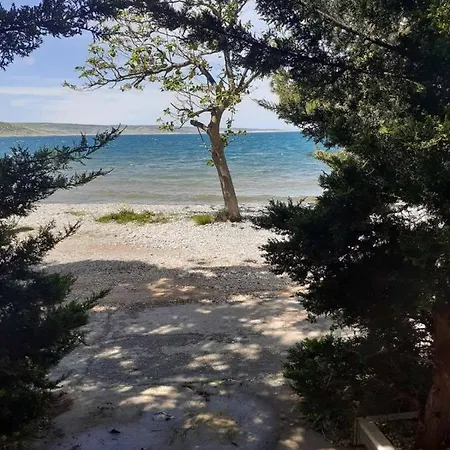 Bed and breakfast Niko