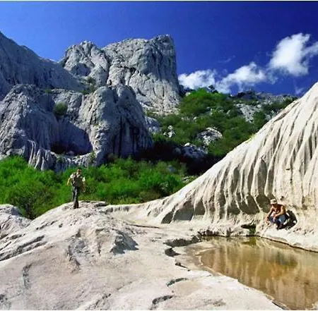 Отель типа 