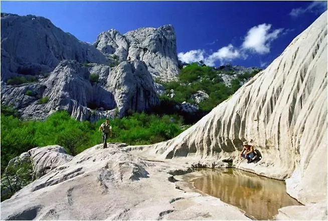 Bed and breakfast Niko