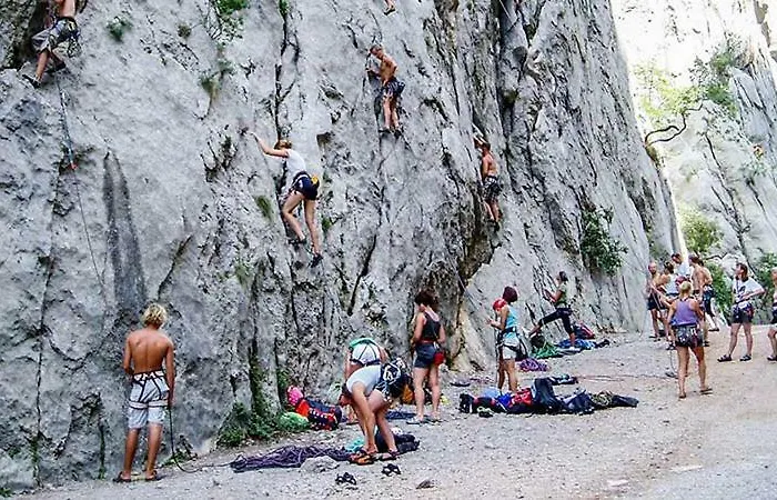 Niko Bed and breakfast Seline